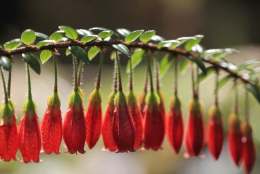 肇庆鼎湖区2私人快速借钱网，轻松解决资金难题