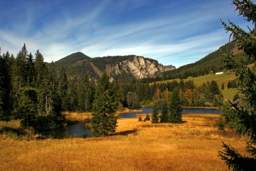 肇庆鼎湖区2民间私贷攻略：揭秘低成本借贷的秘密