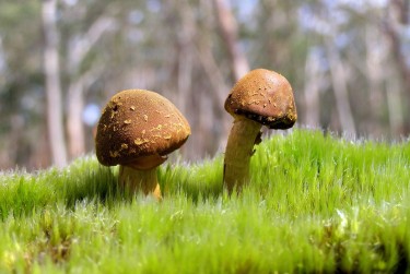 肇庆鼎湖区2私人老板放款：轻松融资的秘密通道